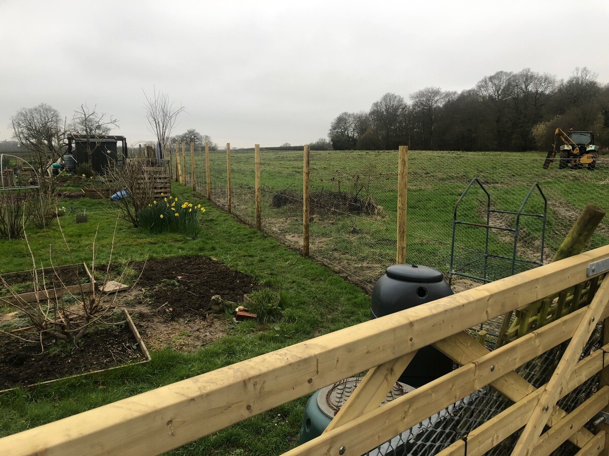 Temple Lane Allotments Fence